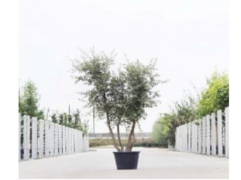  Profile Photos of Bomendael Varakker 4 - Photo 3 of 4