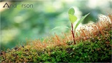 Environmental site assessment, Calgary