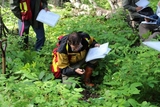 Menus & Prices, Environmental site assessment, Calgary
