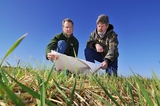 Menus & Prices, Environmental site assessment, Calgary