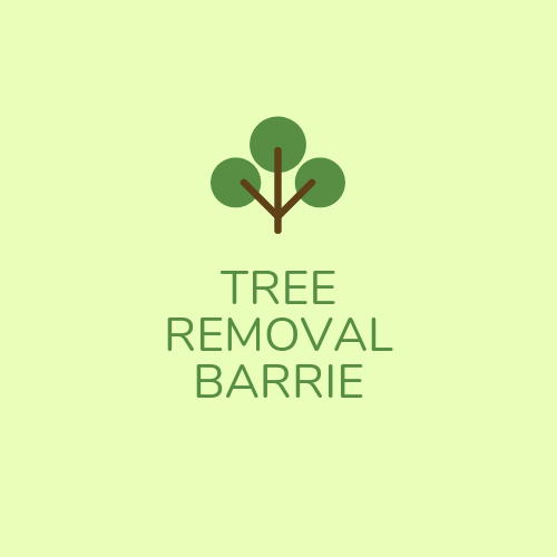  Profile Photos of Tree Removal Barrie 226 Bayview Dr - Photo 1 of 1