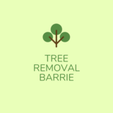 Tree Removal Barrie, Barrie