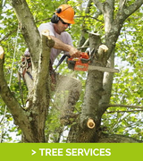 Snow Removal Service, New York