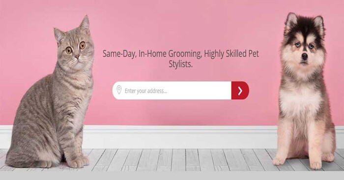  Profile Photos of Groomit New York - Photo 1 of 1
