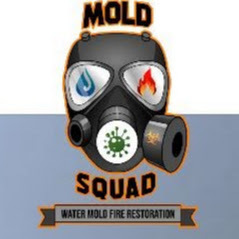  Profile Photos of Mold Squad - Mold Inspection & Testing Company 720 W Lake St - Photo 1 of 1