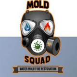 Mold Squad - Mold Inspection & Testing Company, Minneapolis