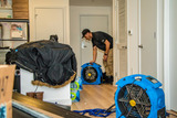 Eco Bed Bug Exterminators Dc, Washington