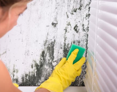  New Album of Erie House Cleaning Services 3330 W 26th St, Unit 4-287 - Photo 27 of 40
