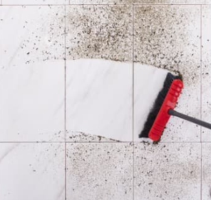  New Album of Erie House Cleaning Services 3330 W 26th St, Unit 4-287 - Photo 1 of 40