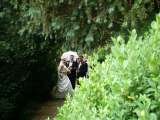  Fantasy Marriage sector 6 