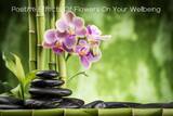  Online Flowers Delivery Shop Dubai | Arabian Petals Office No. 12 Royal Palace Business Center Al-Abbas Building Bank Bur Dubai, UAE, Office No. 12 Royal Palace Business Center Al-Abbas Building Bank Bur Dubai, UAE 