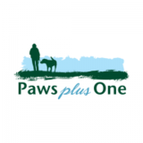 Paws Plus One, York