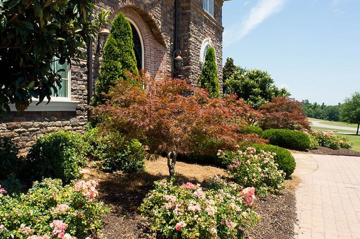  New Album of Dalzell Design Landscaping 1072 Argent Blvd Suite C - Photo 15 of 20
