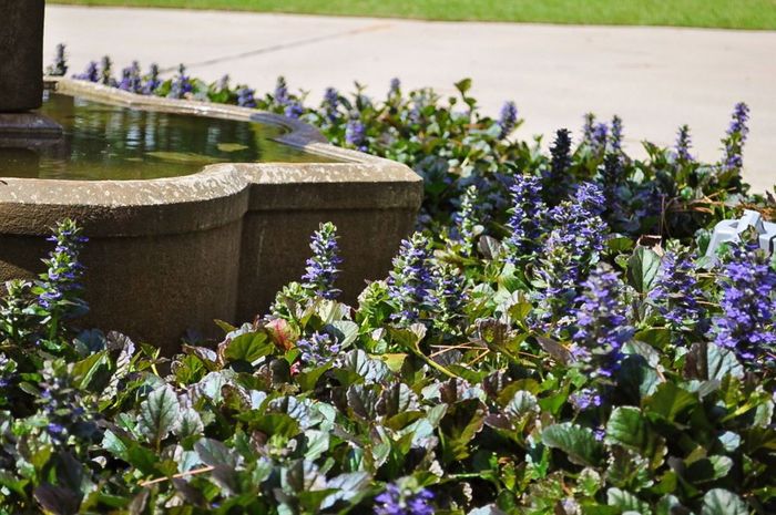  New Album of Dalzell Design Landscaping 1072 Argent Blvd Suite C - Photo 6 of 20