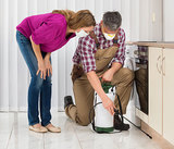 24H Pest Pros, Loganville