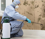 24H Pest Pros, Loganville