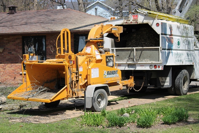  Steve's Tree Service of Steve's Tree Service 600 Rue Auguste Mondoux - Photo 1 of 4