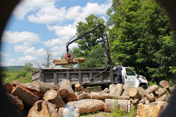  Steve's Tree Service of Steve's Tree Service 600 Rue Auguste Mondoux - Photo 4 of 4