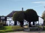 The Peacock Inn Piltdown East Sussex, PILTDOWN