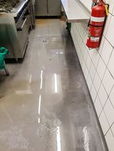  No Dirt Restoration Services 31 Kanyanya Ave 