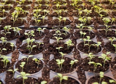  Profile Photos of Beyond Lettuce 903 N. Kemper St. - Photo 2 of 4