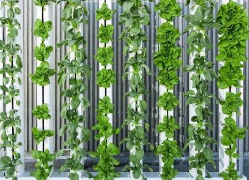  Profile Photos of Beyond Lettuce 903 N. Kemper St. - Photo 3 of 4