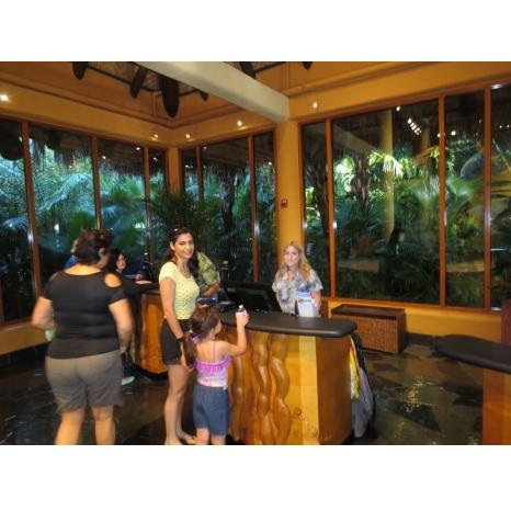  New Album of Orlando Swim with Dolphin Tickets and Tours 9924 Universal Blvd, Suite 224-160 - Photo 2 of 4