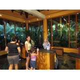  Orlando Swim with Dolphin Tickets and Tours 9924 Universal Blvd, Suite 224-160 