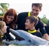 Orlando Swim with Dolphin Tickets and Tours 9924 Universal Blvd, Suite 224-160 