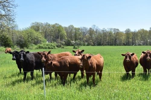  Profile Photos of Whetstone Boys Ranch 6850 County Road 2660 - Photo 2 of 3