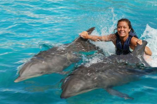  New Album of Oahu Swim with Dolphins Tour & Ticket 1750 Kalakaua Avenue #3742 - Photo 3 of 3