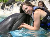 Oahu Swim with Dolphins Tour & Ticket, Honolulu