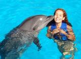 Oahu Swim with Dolphins Tour & Ticket, Honolulu