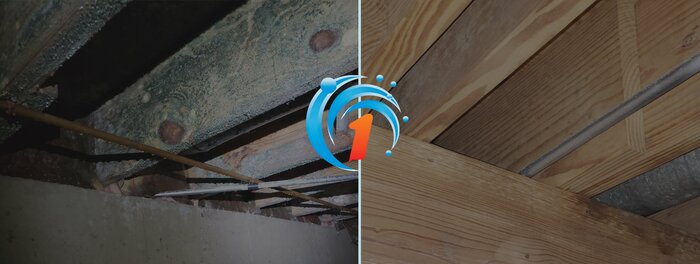  Profile Photos of Restoration 1 of Central Houston - - Photo 8 of 8