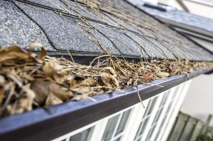  New Album of Clean Pro Gutter Cleaning Sarasota 334 S Washington Blvd - Photo 2 of 4