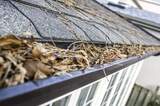 Clean Pro Gutter Cleaning Sarasota, Sarasota