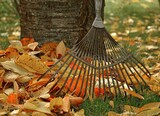 Clean Pro Gutter Cleaning Sarasota, Sarasota