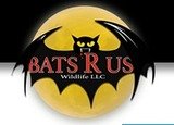 Bats R Us Wildlife Removal Specialist, Bethel