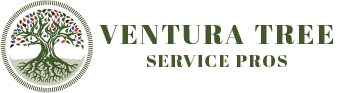  Profile Photos of Ventura Tree Service Pros 3121 Harbor Blvd - Photo 1 of 1