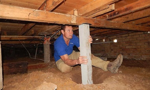  Profile Photos of Raise My House Perth 20 Milne St - Photo 1 of 7