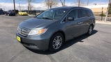 D1 Auto Credit, Thornton