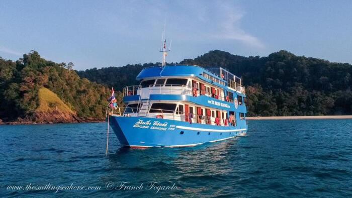 The MV Smiling Seahorse dive cruises boat The Smiling Seahorse cruises album of The Smiling Seahorse 170 ruangrat Street - Photo 17 of 18