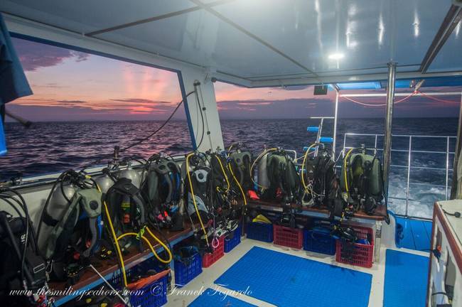 Ready for diving! The Smiling Seahorse cruises album of The Smiling Seahorse 170 ruangrat Street - Photo 2 of 18