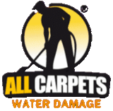 All Carpets Water Damage Cleaning and Repair, Gold Coast