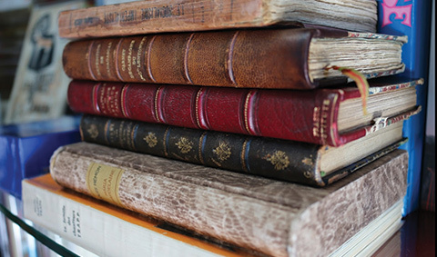  Profile Photos of Librairie Icitte 855 Boulevard Sainte-Foy - Photo 6 of 7