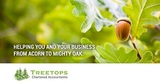 Treetops Chartered Accountants, Farnborough