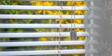 With our window blinds, you can enjoy natural light in your home without having to deal with glare on your screens.