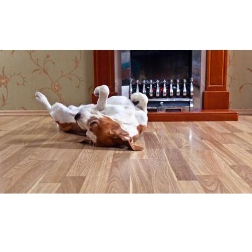  New Album of Seamless Dean Flooring 2105 NW Vaughn St - Photo 3 of 3