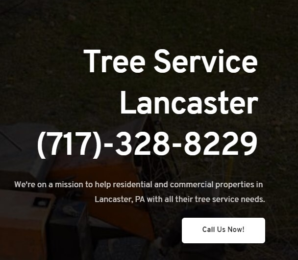 Profile Photos of Tree Service Lancaster PA 342 N. Queen Street, Warehouse D - Photo 1 of 1