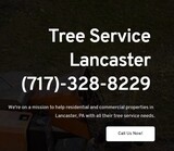 Tree Service Lancaster PA, Lancaster